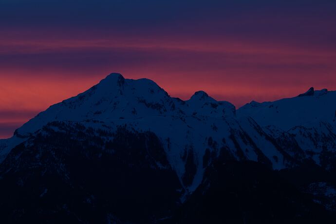 martin-adams-1404059-unsplash