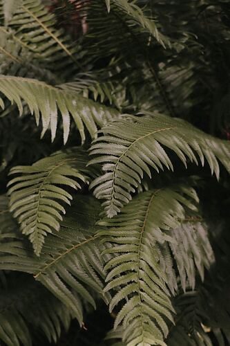 emma-dau-1380849-unsplash