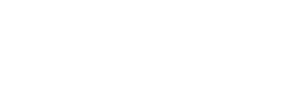 RDI demo page logo